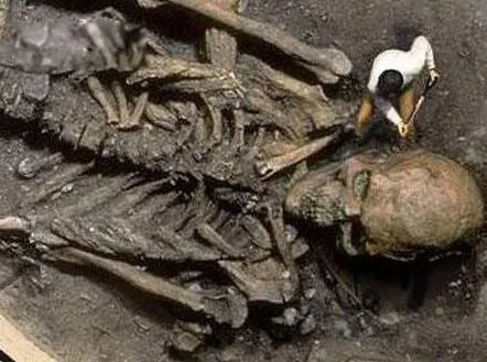 臭鼬猿长什么样子的图片 臭鼬猿真的存在吗