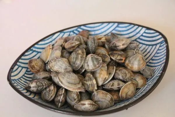贝壳的做法怎样做好吃?