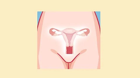 什么时候是危险期