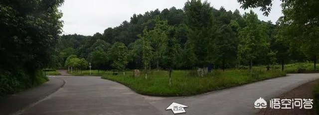 长沙学院怎么样？