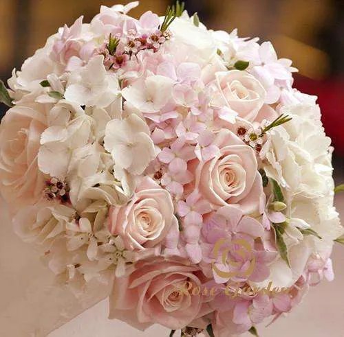 送玫瑰花代表什么意思 送玫瑰花几朵各代表什么