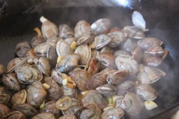 贝壳的做法怎样做好吃?