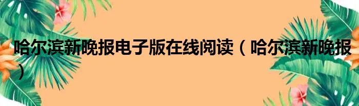 哈尔滨新晚报电子版在线阅读（哈尔滨新晚报）