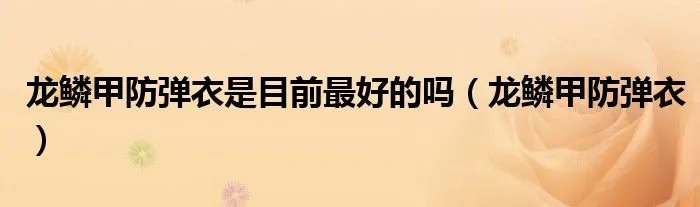 龙鳞甲防弹衣是目前最好的吗（龙鳞甲防弹衣）