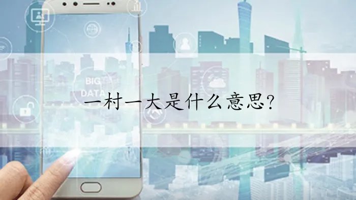 一村一大是什么意思？