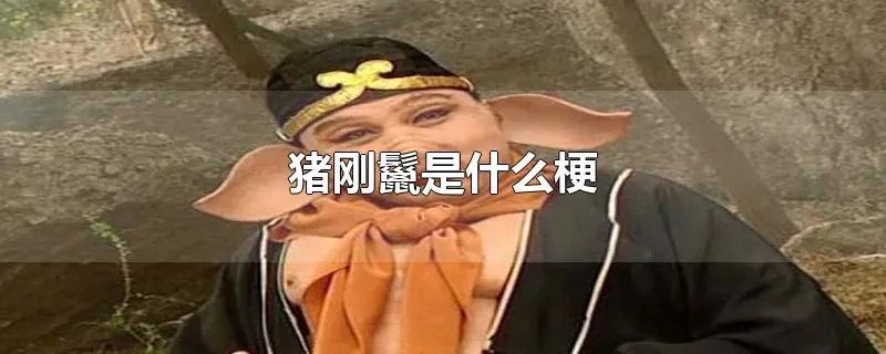 猪刚鬣是什么梗