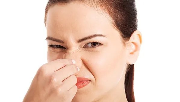 假体隆鼻需要多少钱