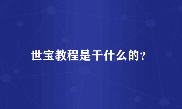 世宝教程是干什么的？