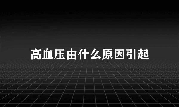 高血压由什么原因引起