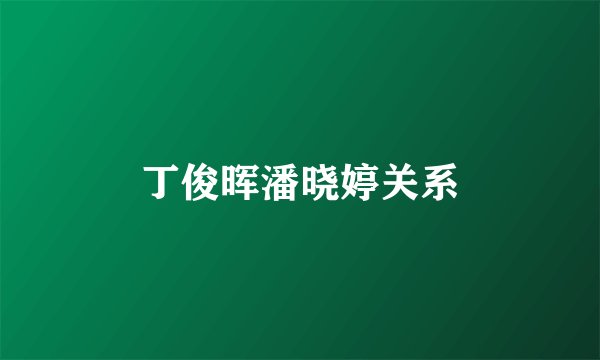 丁俊晖潘晓婷关系