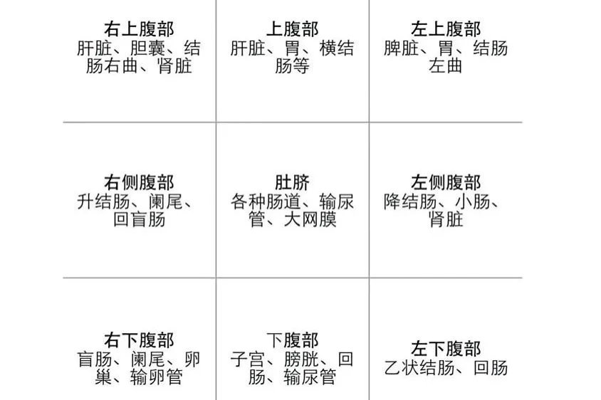 肚脐左边是什么部位图