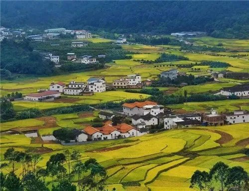 流转的意思是什么