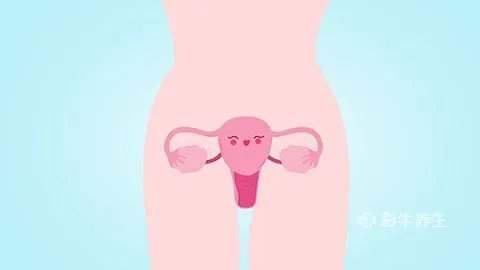 子宫脱垂怎么恢复正常