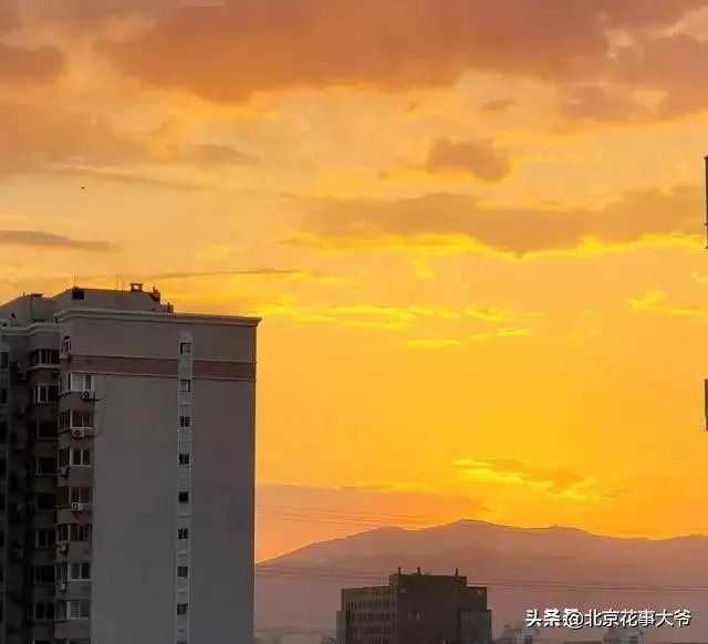 云南大象北迁究竟是何原因？