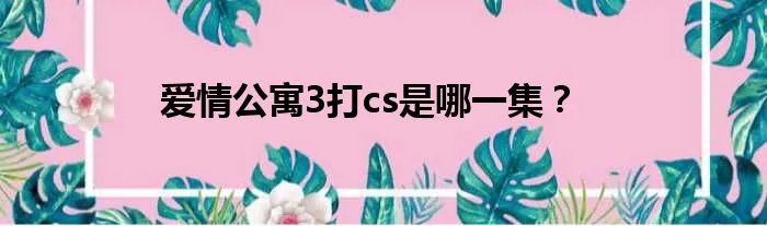 爱情公寓3打cs是哪一集？