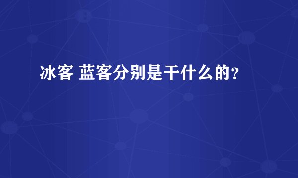 冰客 蓝客分别是干什么的？
