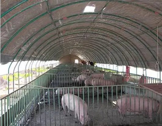 养猪大棚建设