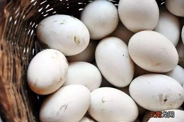 圆形鸡蛋是什么