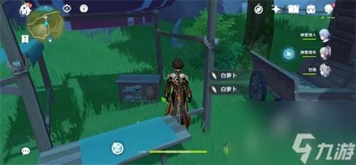 原神白萝卜在哪采集 原神白萝卜在哪里介绍介绍