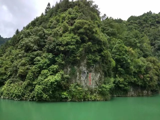 吴昕微博晒自拍并附文“拍出全智贤的感觉了吗”，你怎么看？