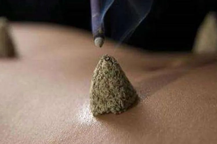 艾叶艾草图片大全大图