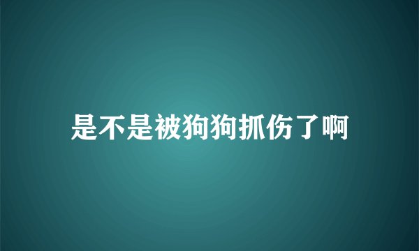 是不是被狗狗抓伤了啊