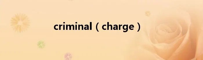 criminal（charge）