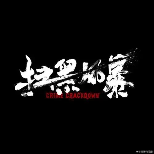 扫黑风暴的演员表在哪里可以看？