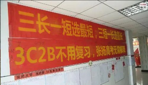 高考“张扬体”引共鸣 《疾风之刃》成考生热议游戏