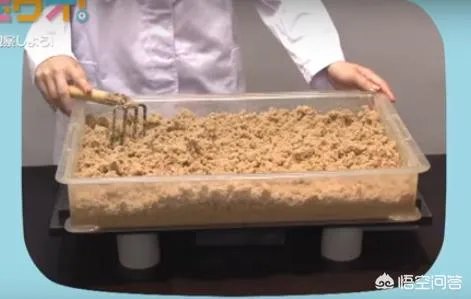 北海道发生地震，为什么会发生土壤液化的现象？