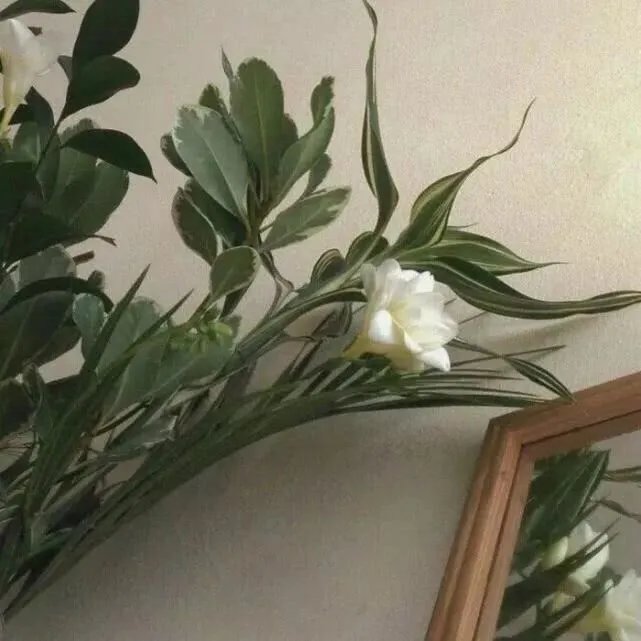 2020抖音超火朋友圈背景图分享