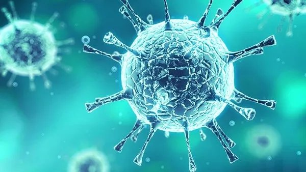 今日疫情最新消息：云南新增15例本土确诊病例