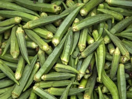 秋葵中毒的一些明显症状