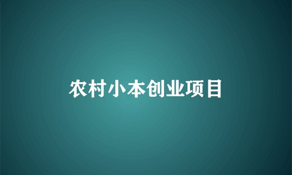 农村小本创业项目