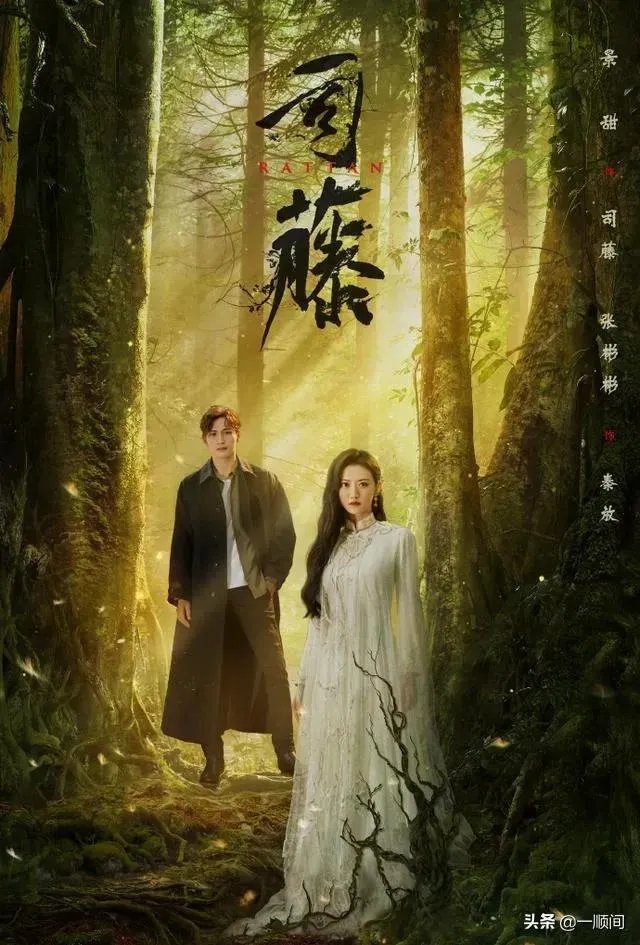 张彬彬真实年龄？