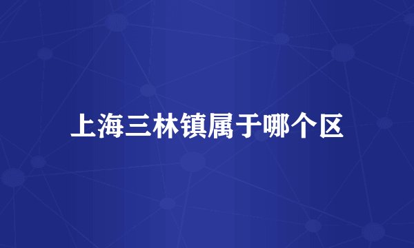 上海三林镇属于哪个区