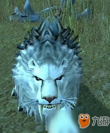 《魔兽世界怀旧服》埃其亚基位置在哪 埃其亚基位置坐标分享