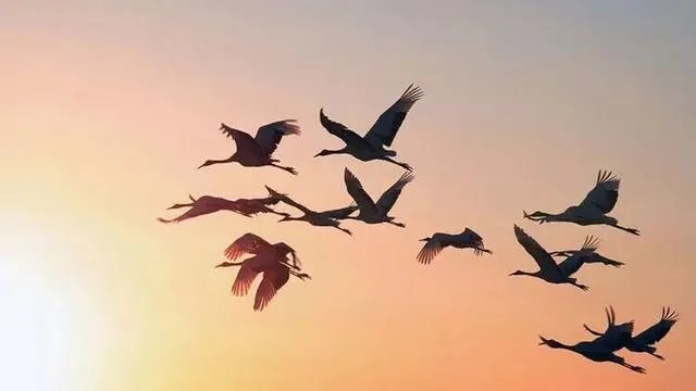 蒋克铸老教授是一个怎样的人