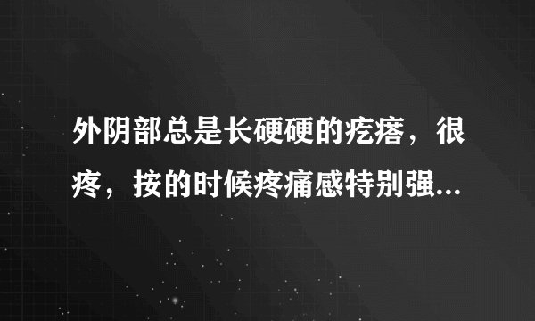外阴部总是长硬硬的疙瘩，很疼，按的时候疼痛感特别强。总是长
