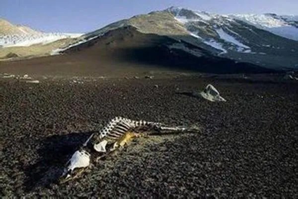 昆仑死亡谷让进去吗?昆仑山死亡谷图片，昆仑山死亡谷在哪里？