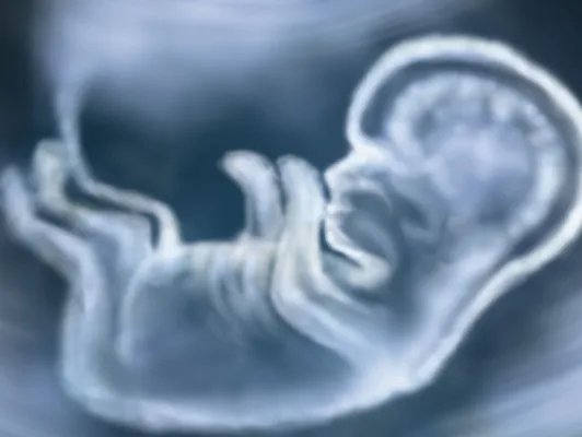 入盆时间是什么