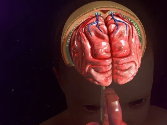 流脑症状有哪些