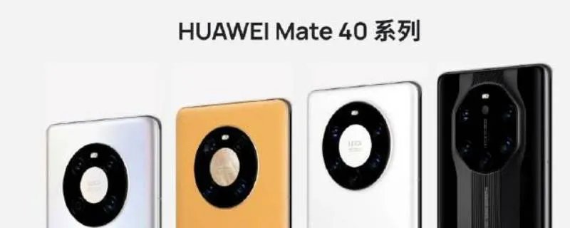 mate40发布会地点