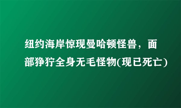 纽约海岸惊现曼哈顿怪兽，面部狰狞全身无毛怪物(现已死亡)