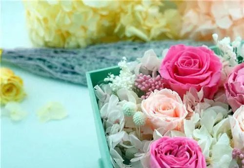 兰因璧月番外全集免费阅读