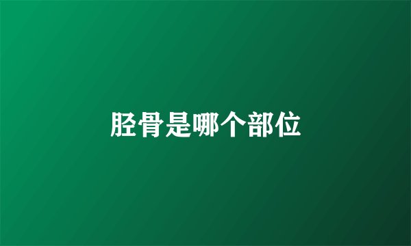 胫骨是哪个部位