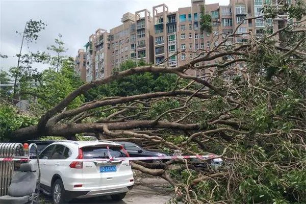 世界上最强台风排名:诺拉上榜 ,第四损失了6.94亿美元