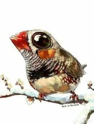 只有嘴巴好看是什么体验?