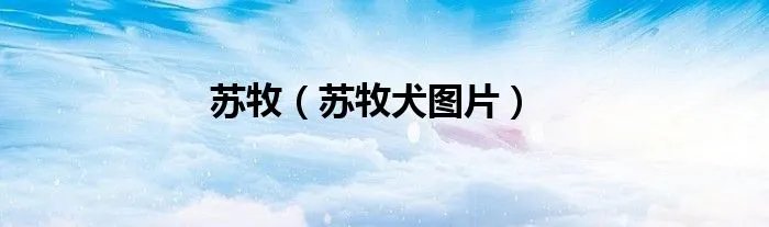 苏牧（苏牧犬图片）