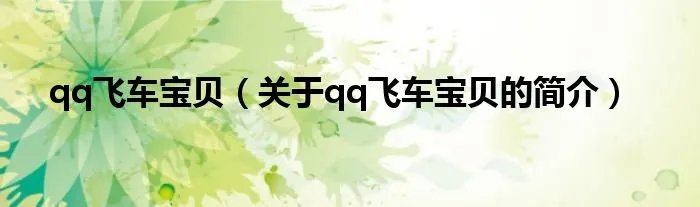 qq飞车宝贝（关于qq飞车宝贝的简介）